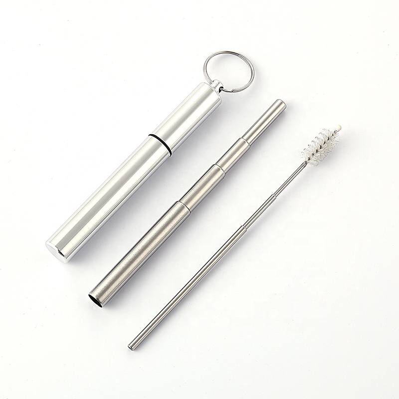 Outdoor Stainless Steel Drinking Straw Collapsible Metal Straw With Keychain